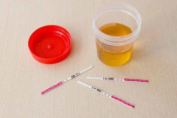 Klinik dr. Vitis, Klinik BPJS Kediri, Klinik 24 Jam Kediri, Klinik BPJS Kediri, Klinik terdekat dari lokasi saya sekarang, klinik buka 24 jam Kediri, cek laboratorium Kediri, Klinik USG Kehamilan Kediri, Klinik rawat inap Kediri, Khitan diKediri, Klinik Pratama Kediri, Klinik Faskes 1 BPJS Kabupaten Kediri, Klinik kesehatan Sembak Grogol Kediri, Klinik rawat inap Kabupaten Kediri, Klinik persalinan 24 jam, tempat bersalin Kabupaten Kediri, Klinik bersalin Kediri